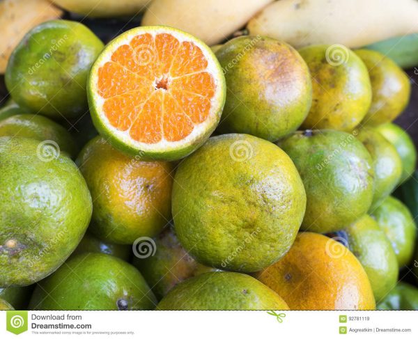 Near sweet Orange – Grafting Fruit Plant