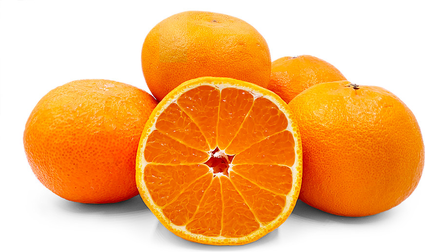 Setoka Orange Fruit Plant