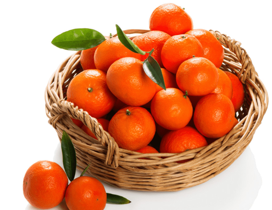 Pakistani Kinu Fruit Plant