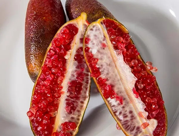 Finger Lemon Red – Grafted and Hybrid Plant — photo 2