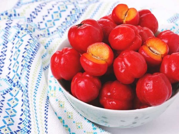 Barbados cherry — photo 2