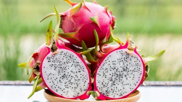 Dragon Fruit — photo 2