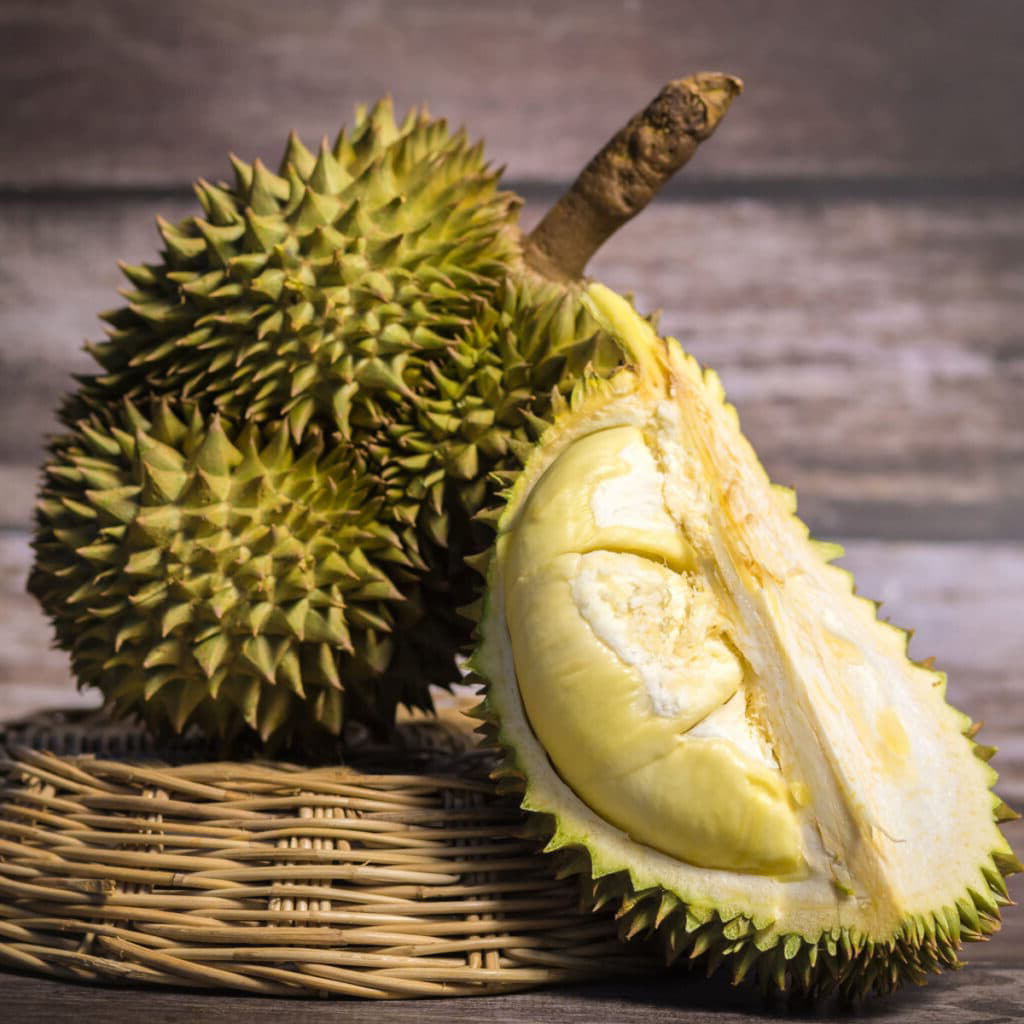 Durian Fruit Plant | King of Fruits | Premium Exotic Variety