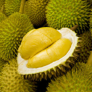 Durian Fruit Plant | King of Fruits | Premium Exotic Variety — photo 3