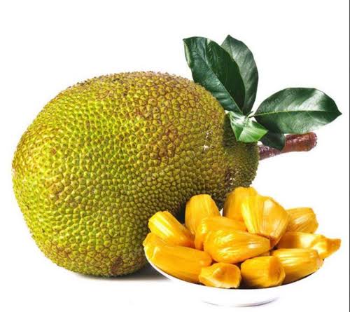 Vietnam Jackfruit Grafted Plant | Sweet Soft Flesh | Premium Fast-Fruiting Variety — photo 3