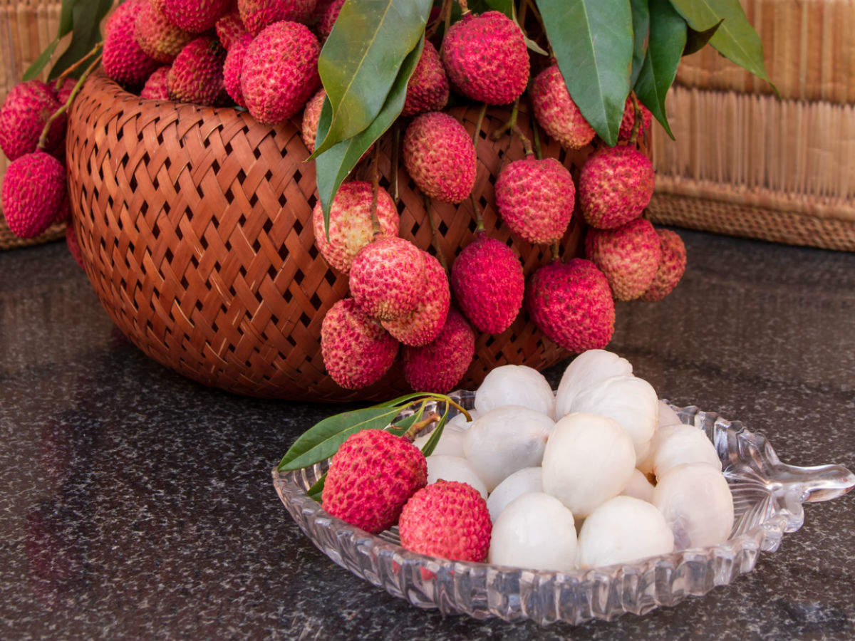 Atha Bombay Litchi Plant | Sweet Juicy Lychee | Premium Early-Fruiting Variety