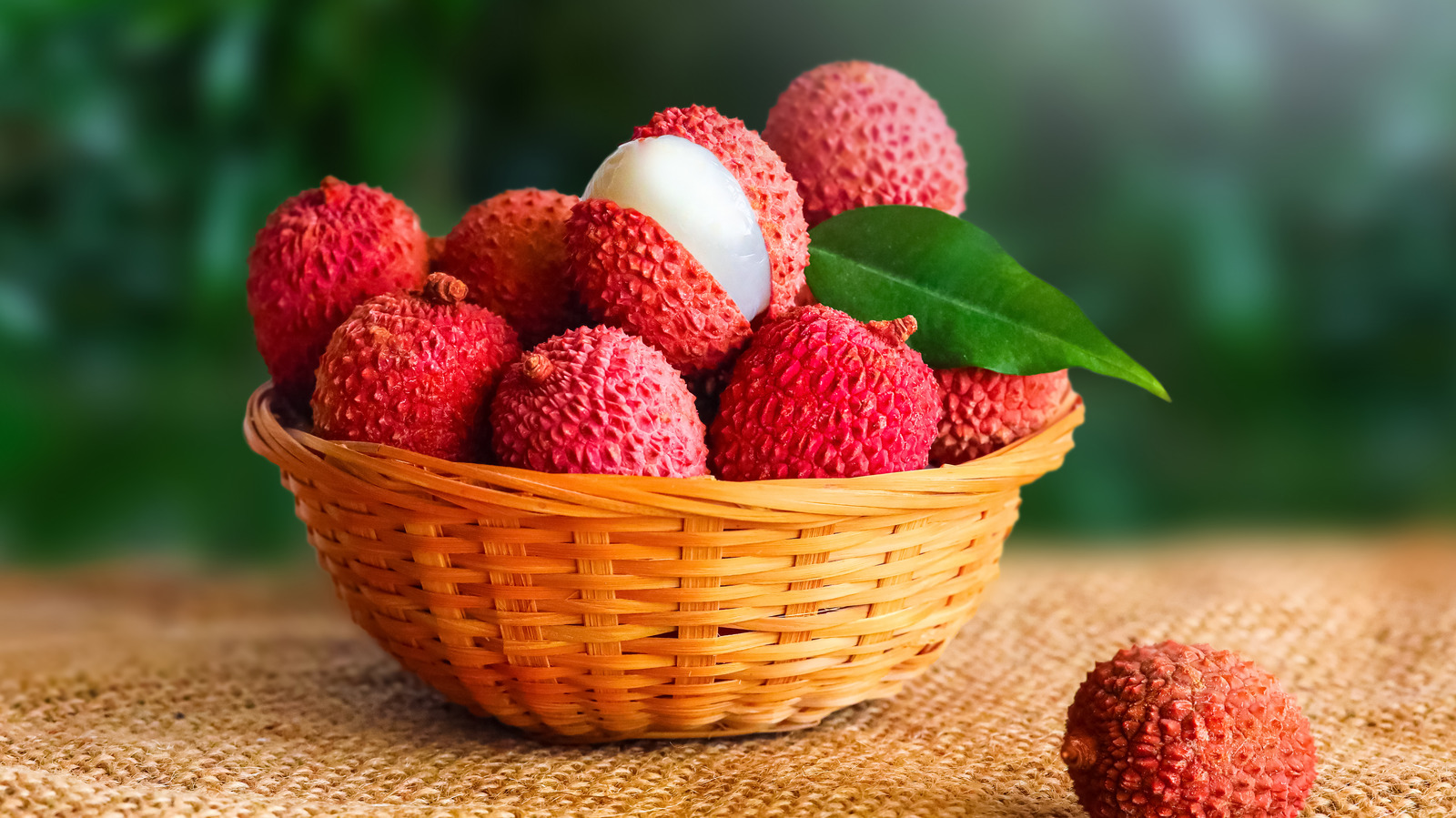 Atha Bombay Litchi Plant | Sweet Juicy Lychee | Premium Early-Fruiting Variety — photo 2