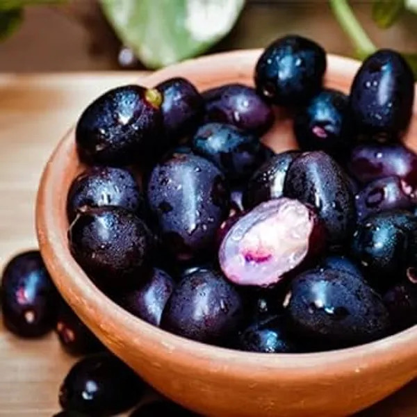 Thai Black Jamun Plant | Sweet Large Fruits | Premium Grafted Hybrid