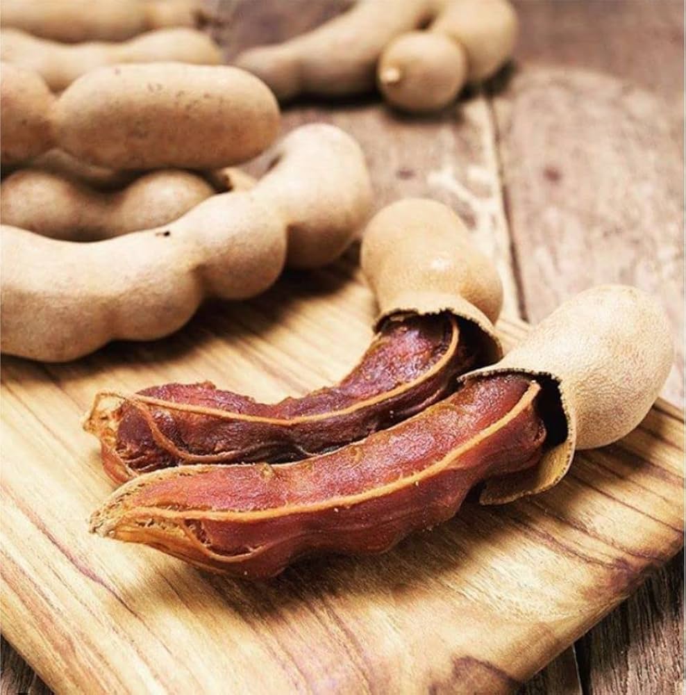 Sweet-Tamarind-Plant — photo 3