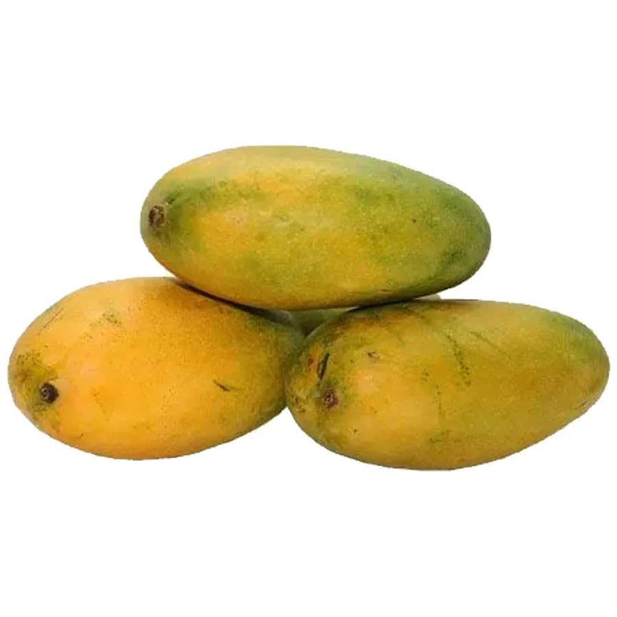 Neelam 1kg Mango Plant | Sweet Aromatic Mango | Premium Grafted Hybrid — photo 2