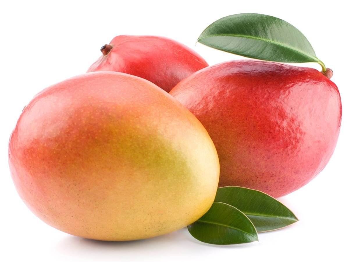 Neelum Bori Mango Plant | Sweet Aromatic Mango | Premium Grafted Hybrid — photo 2