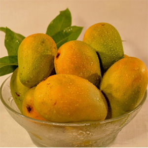 Chinna Rasalu Mango Plant | Extra-Sweet Juicy Mango | Premium Grafted Hybrid — photo 3