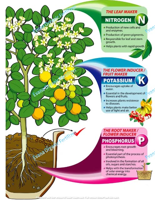 Premium Mix Fertilizer All Purpose Fertiliser 100% Organic Manure for Plant Food 0.9 Kg — photo 3