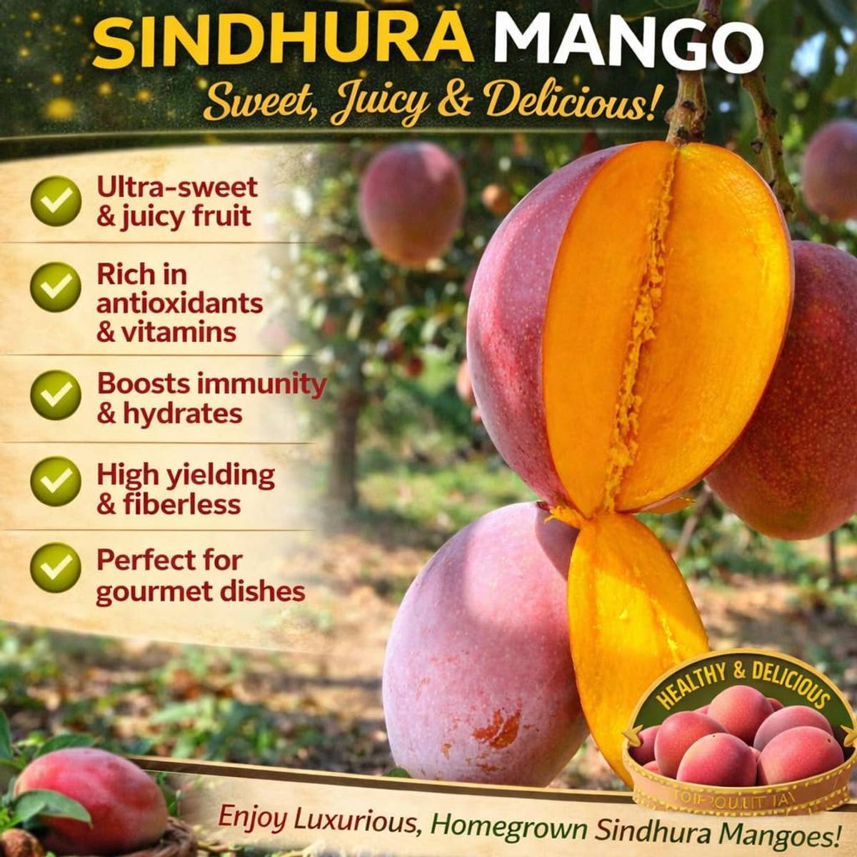 Sindur Kouta Mango Plant | Sweet Red Saffron Mango | Premium Grafted Hybrid — photo 3