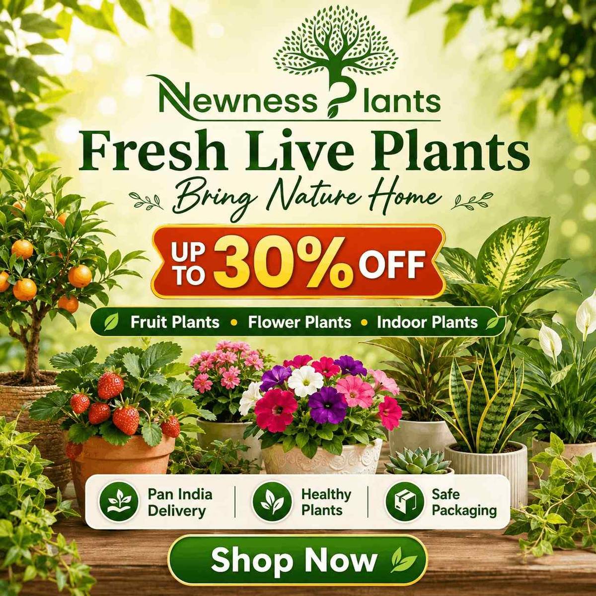 Fruit and flower plants sale promotion