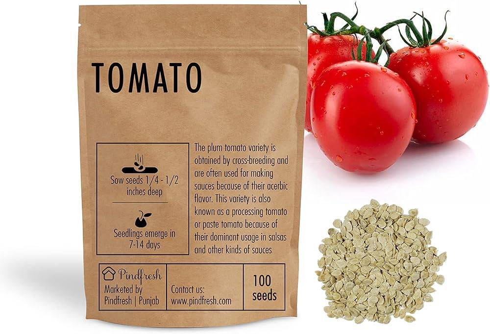Tomato Seeds (Tamatar Beej) – 100g Pack | Vegetable Seeds for Home Gardening — photo 2
