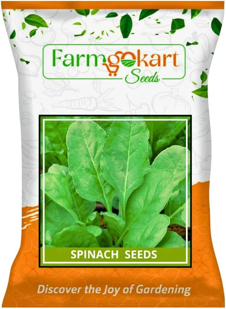 Palak Seeds (Spinach / Palong Shak) – 100g Pack | NewnessPlant — photo 2