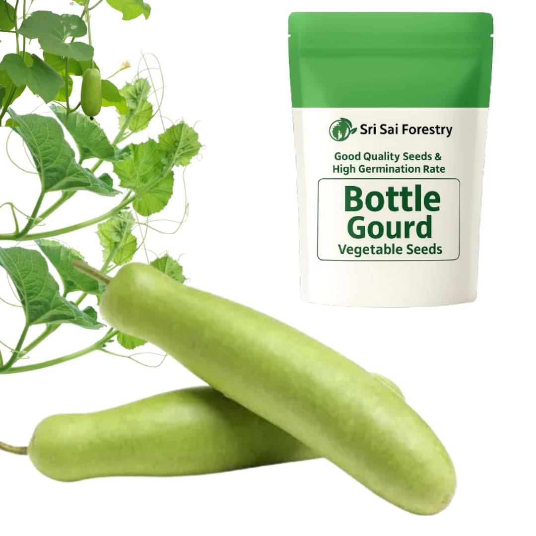 Bottle Gourd Seeds (Lauki / Lau Beej) | Vegetable Seeds for Sowing – NewnessPlant — photo 2