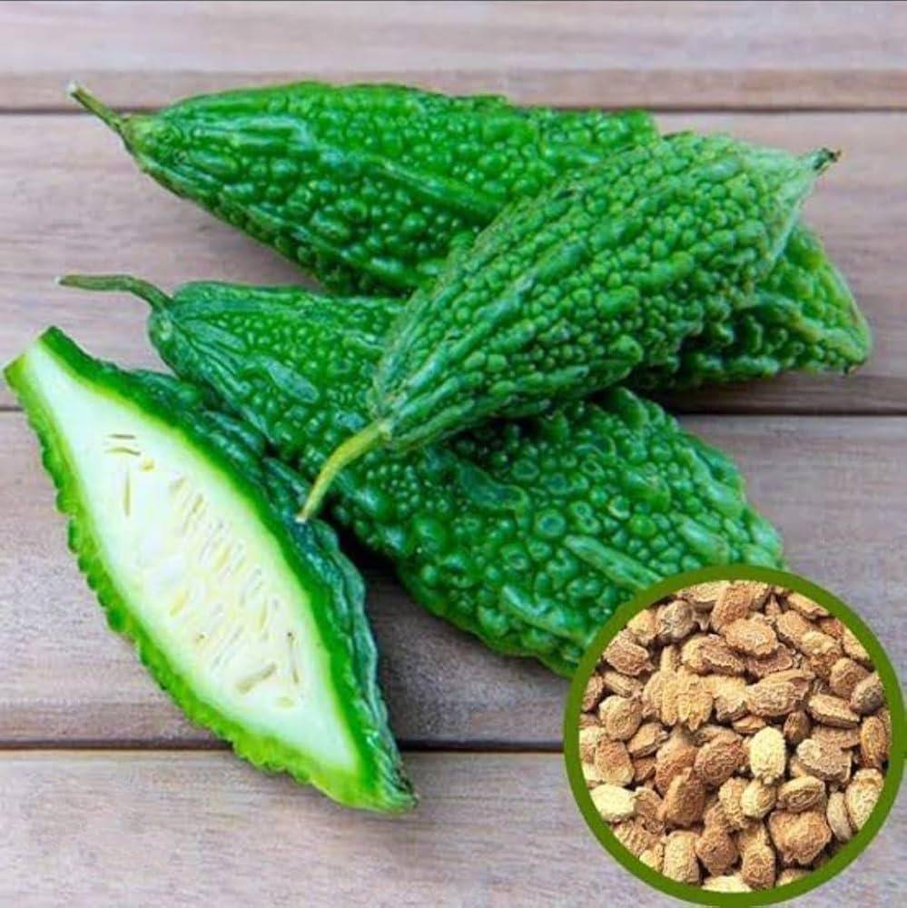 Bitter Gourd Seeds (Karela / Uchhe / Korola) – 100g Pack | NewnessPlant — photo 2