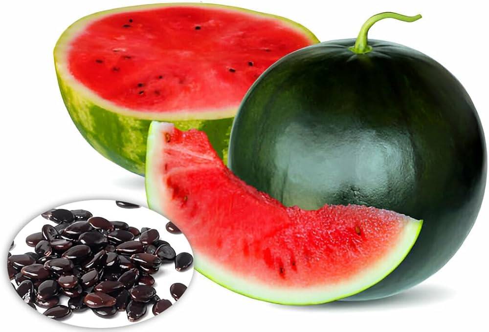 Watermelon Seeds (Tarbuj / Tormuj Beej) – 100g Pack | NewnessPlant