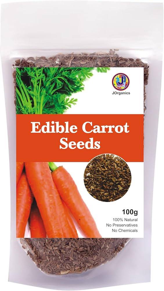Carrot Seeds (Gajar / Gajor Beej) – 100g Pack | NewnessPlant — photo 2