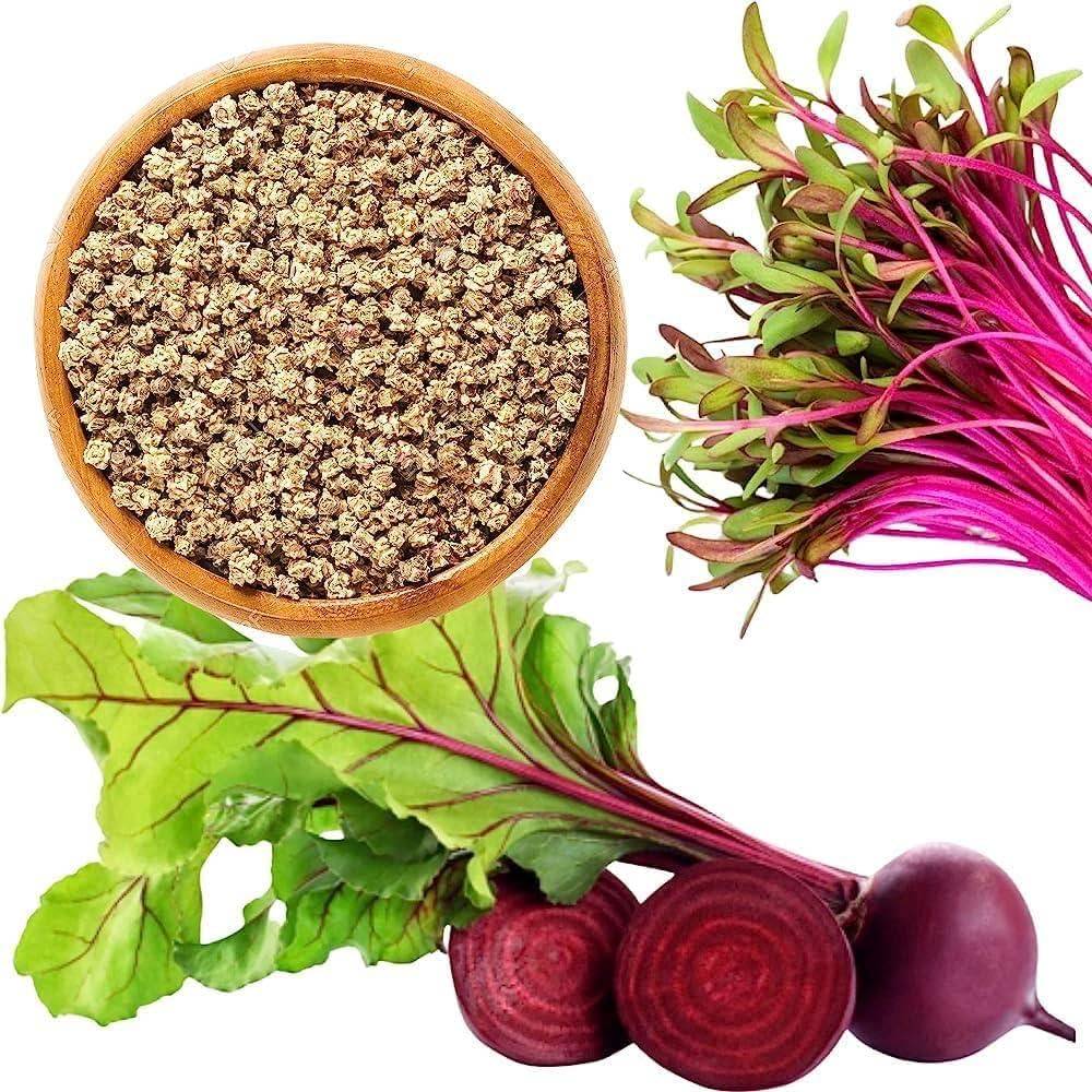 Beetroot Seeds (Chukandar / Beet) – 100g Pack | NewnessPlant — photo 2