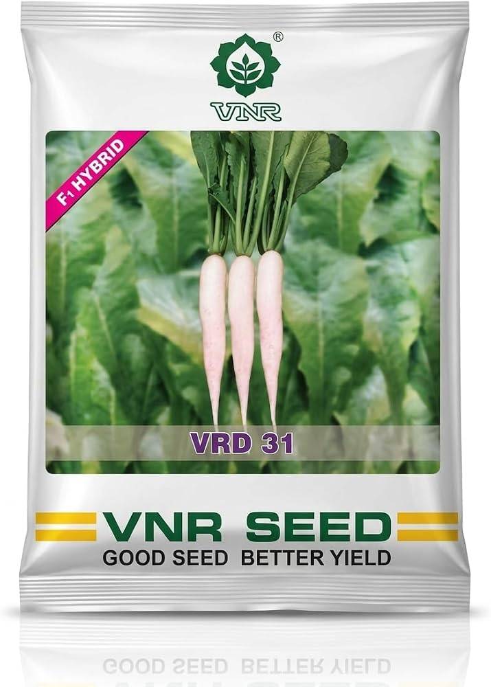Radish Seeds (Mooli / Mula Beej) – 100g Pack | NewnessPlant — photo 3