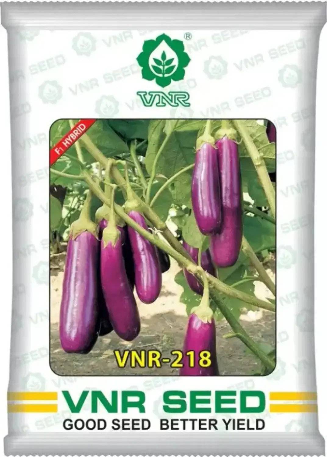 Brinjal Seeds (Baingan / Begun / Eggplant) – 100g Pack | NewnessPlant — photo 3