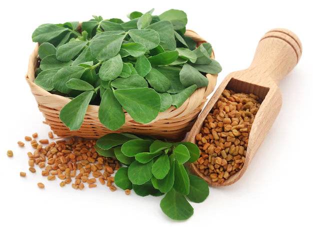 Fenugreek Seeds (Methi Shak / Methi Saag) – 100g Pack | NewnessPlant