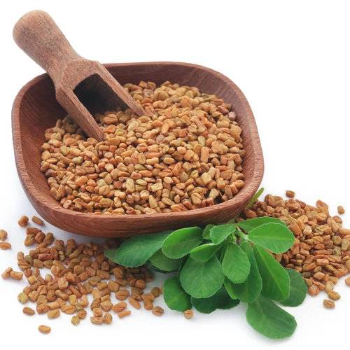 Fenugreek Seeds (Methi Shak / Methi Saag) – 100g Pack | NewnessPlant — photo 2