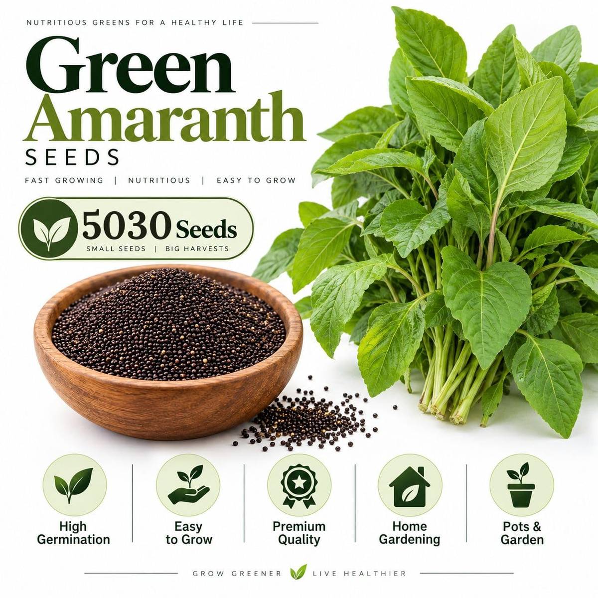 Green Amaranth Seeds (Chaulai Saag / Note Shak) – 100g Pack | NewnessPlant — photo 3