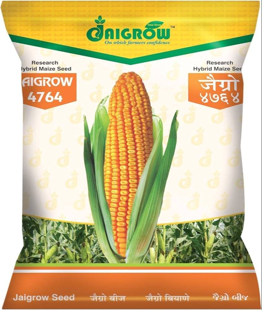 Maize Seeds (Corn / Makka / Bhutta) – 100g Pack | NewnessPlant — photo 2