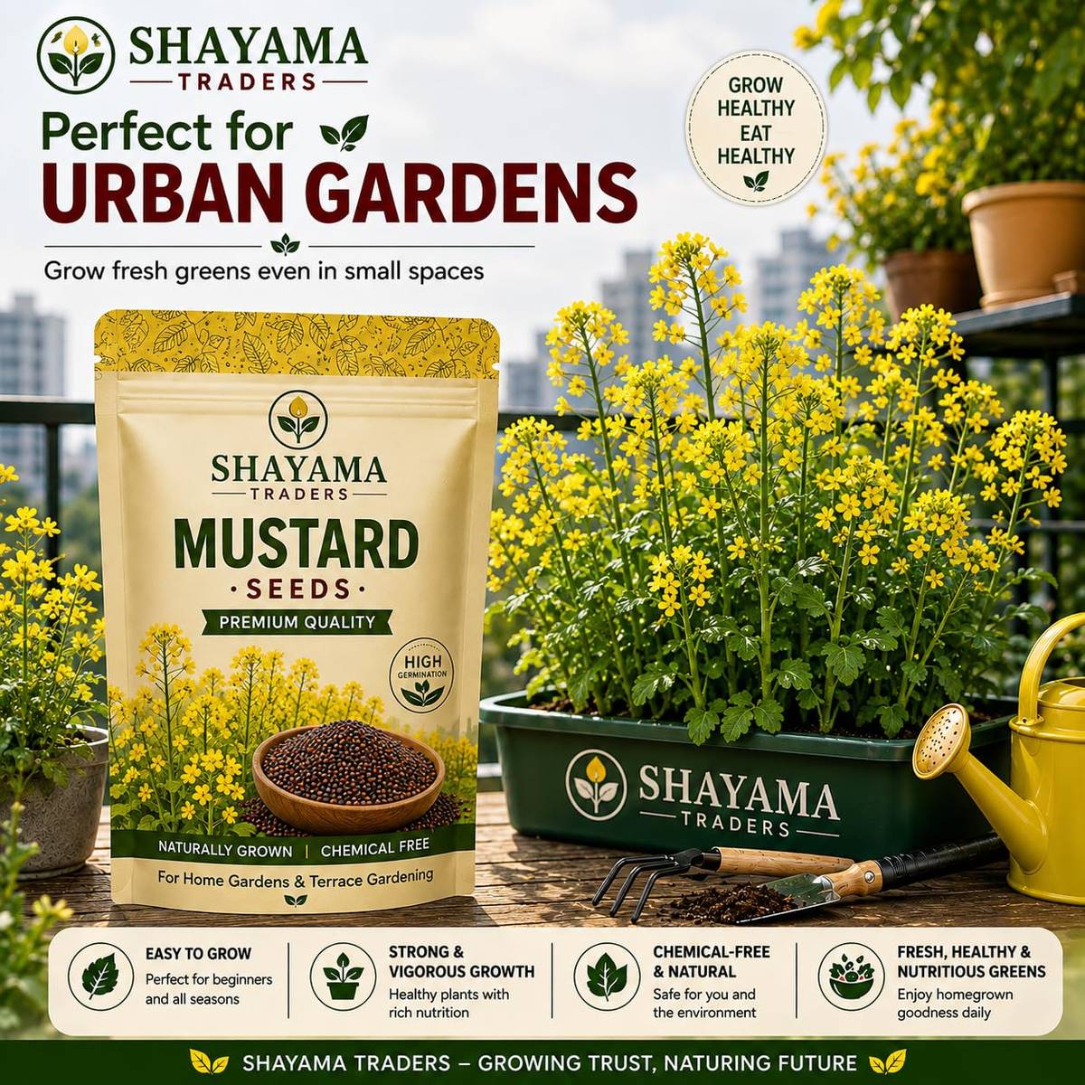 Mustard Seeds (Sarson / Rai / Sorisha) – 100g Pack | NewnessPlant