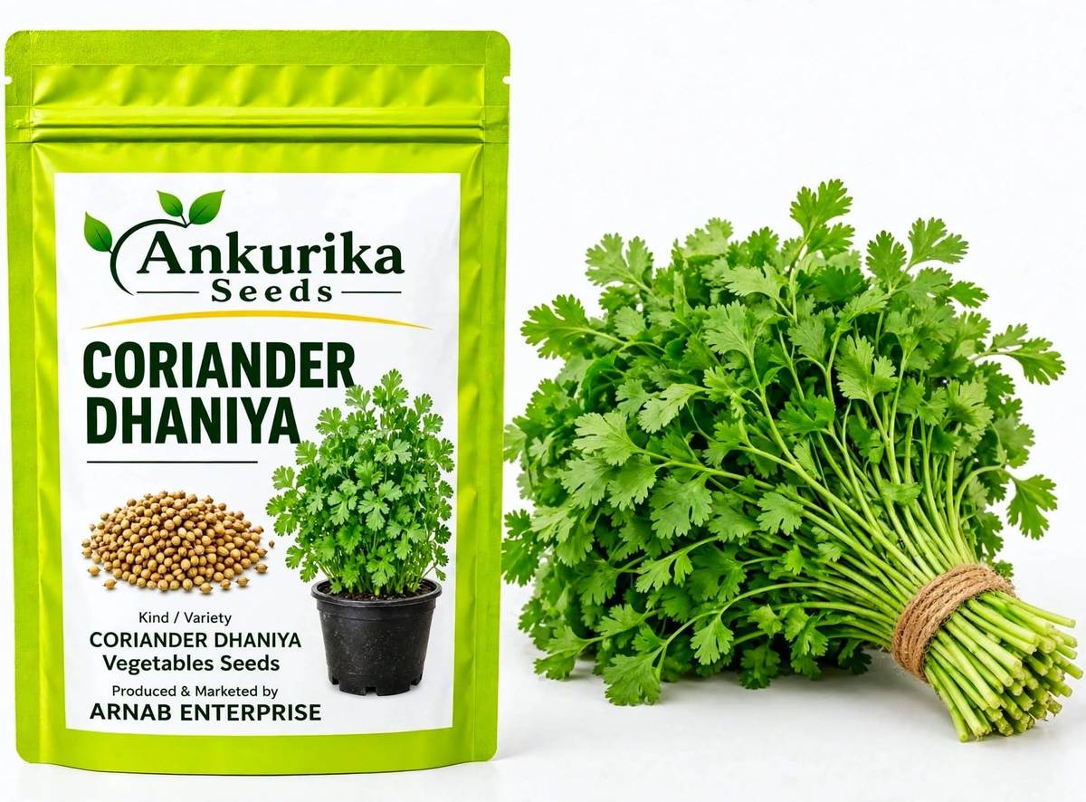 Desi Coriander Seeds (Dhaniya / Dhone Pata / Dhonepata) – 100g Pack | NewnessPlant