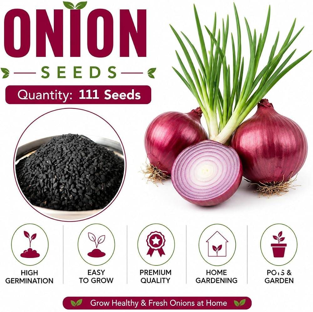 Onion Seeds (Pyaz Beej / Peyaj Beej / পেঁয়াজ বীজ) – 100g Pack | NewnessPlant