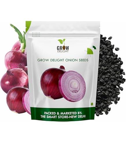 Onion Seeds (Pyaz Beej / Peyaj Beej / পেঁয়াজ বীজ) – 100g Pack | NewnessPlant — photo 2