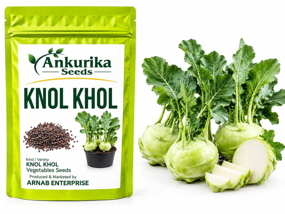 Kohlrabi Seeds (Knol Khol / Ganth Gobhi / Ol Kopi) – 100g Pack | NewnessPlant — photo 2