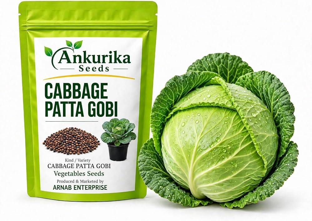 Cabbage Seeds (Patta Gobhi / Bandhakopi) – 100g Pack | NewnessPlant — photo 3