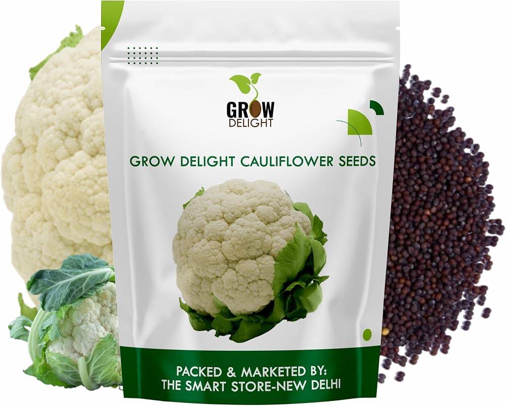 Cauliflower Seeds (Phool Gobhi / Phulkopi) – 100g Pack | NewnessPlant